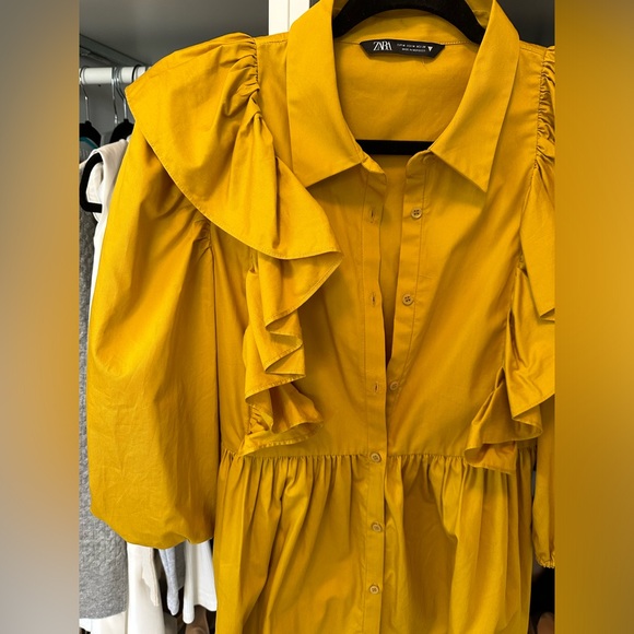 Zara Dress - Picture 4 of 4